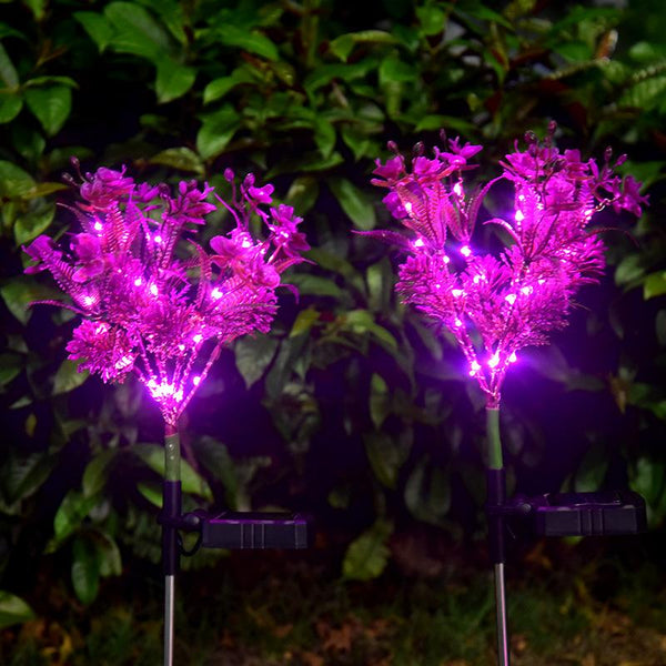 2 Pcs Solar Powered  Phalaenopsis Light